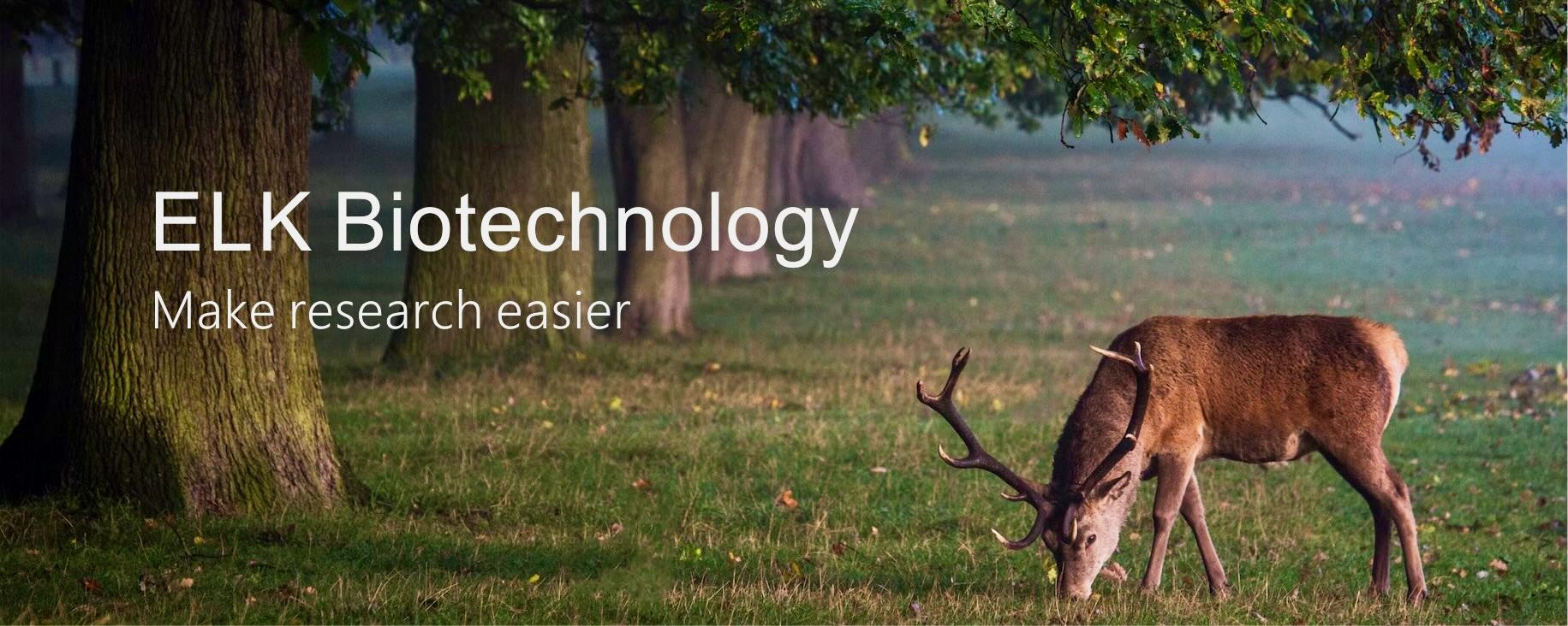 ELK Biotechnology ELISA Kits and Antibodies